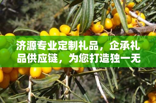 济源专业定制礼品，企承礼品供应链，为您打造独一无二的礼品体验