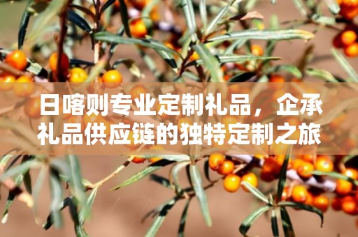 日喀则专业定制礼品，企承礼品供应链的独特定制之旅