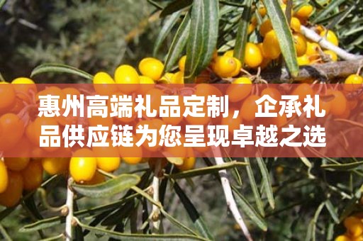 惠州高端礼品定制，企承礼品供应链为您呈现卓越之选