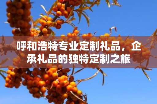呼和浩特专业定制礼品，企承礼品的独特定制之旅