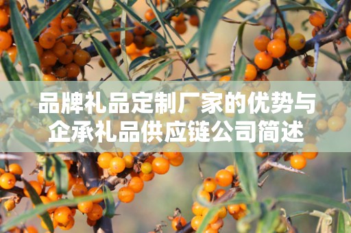 无锡小礼品定制，企承礼品供应链您身边的专业礼品定制公司