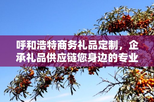 呼和浩特商务礼品定制，企承礼品供应链您身边的专业礼品定制公司